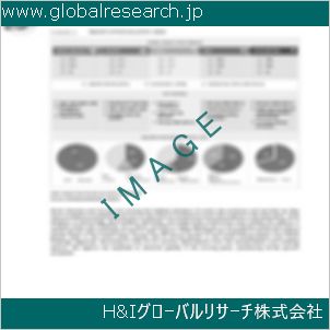グローバルリサーチ調査資料のイメージ